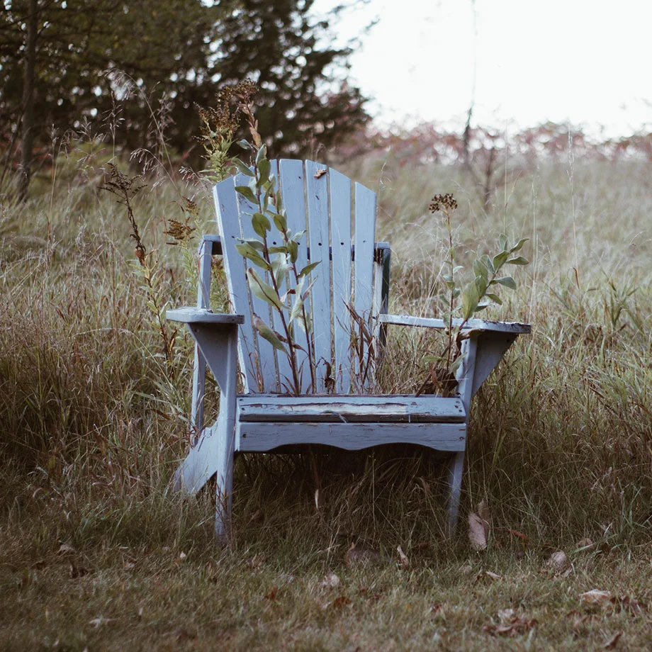 aside-invasive-mowing