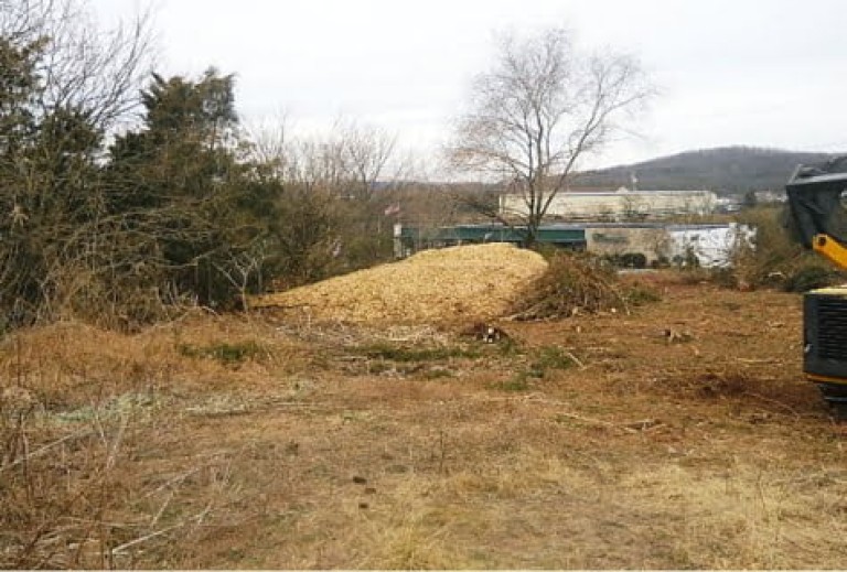 land-clearing-landclearing6